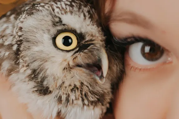 CasinoCasino Kasino Sokongan